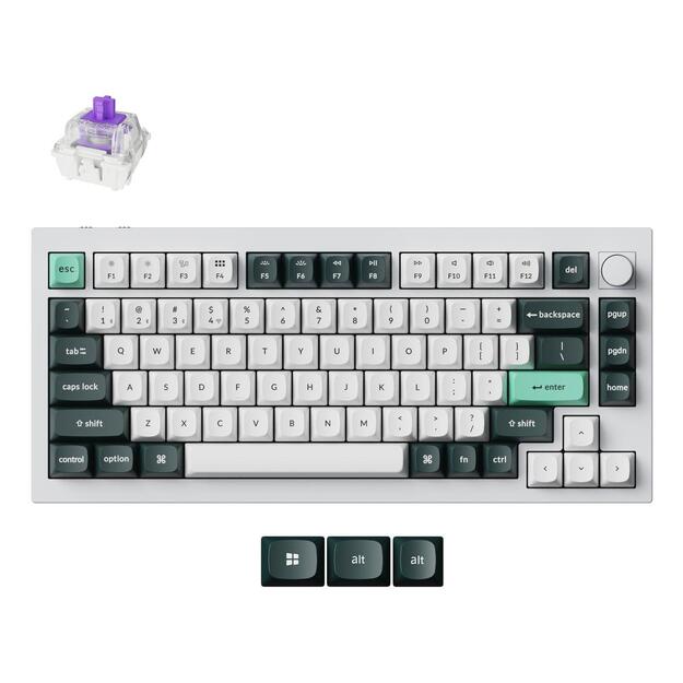 KEYBOARD WRL Q1 HE RGB/SHELL WHITE Q1H-P1 KEYCHRON
