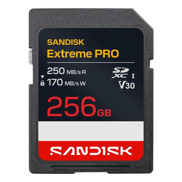 MEMORY SDXC 256GB UHS-1/SDSDXXJ-256G-GSCIN SANDISK