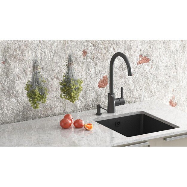 Virtuvinis maišytuvas Aquasanita 5523JG-601 1