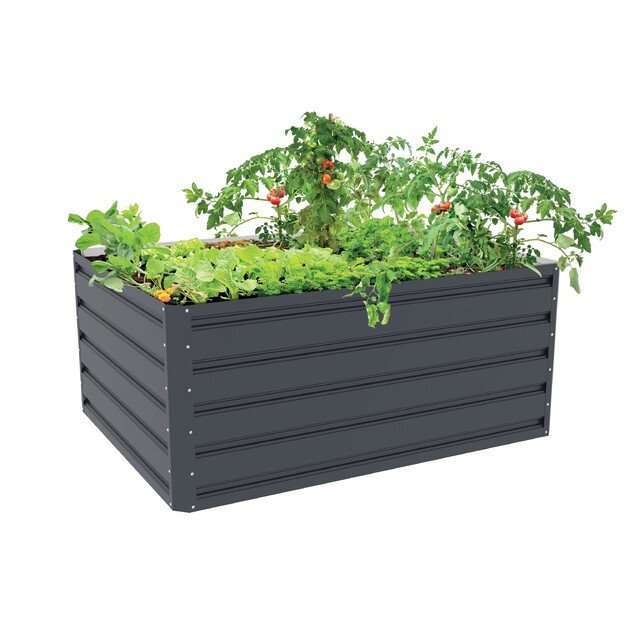 Pakelta lysvė G21 Daisy 63900223, 120 x 90 x 52 cm, metalinė, antracitas