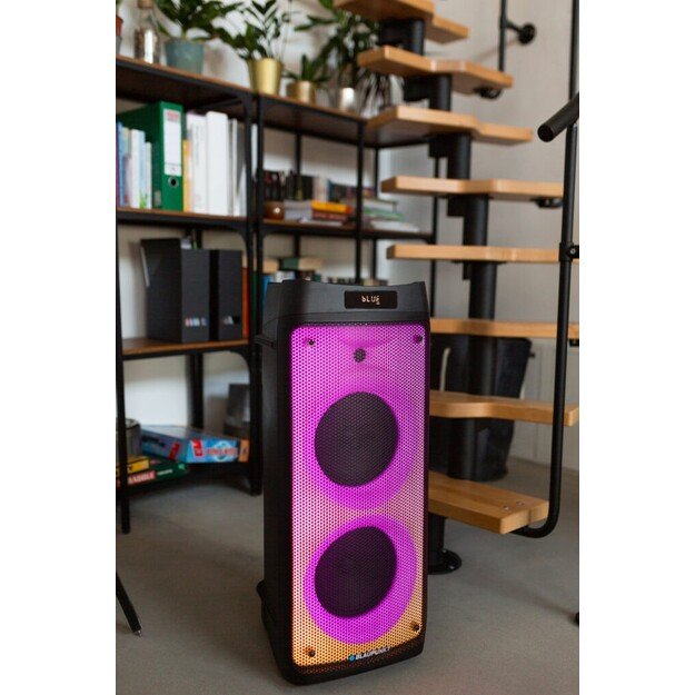 Kolonėlė BLAUPUNKT PB08DB 3