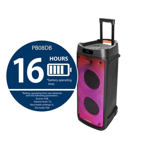 Kolonėlė BLAUPUNKT PB08DB 1