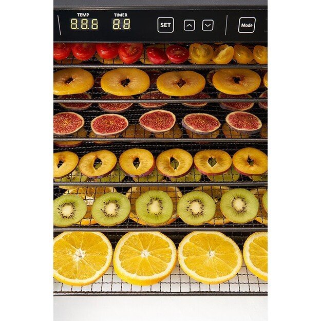 Maisto produktų džiovyklė ZYLE ZY100FD 4