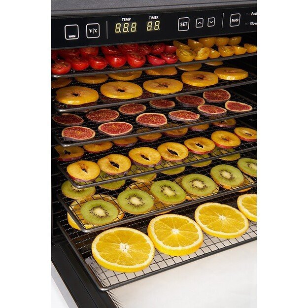 Maisto produktų džiovyklė ZYLE ZY100FD 9