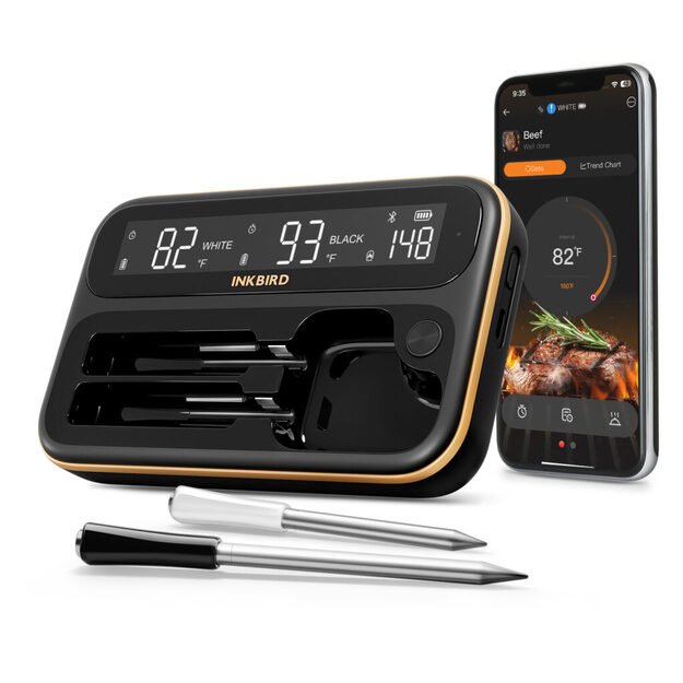 Beleiadis 2 zondų termometras INT-12-BW