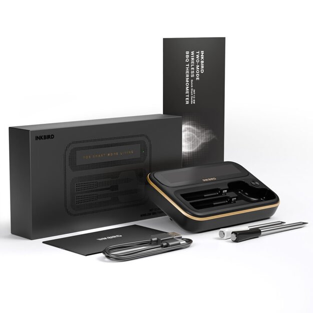 Beleiadis 2 zondų termometras INT-12-BW 2