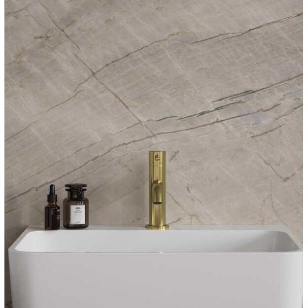 Praustuvo maišytuvas Omnires Y1210NBSB  šlifuotas žalvaris 1