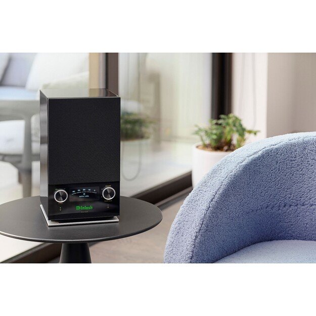 McIntosh RS150 garso kolonėlė 4