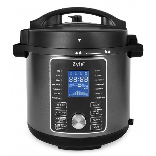 Daugiafunkcis puodas su gruzdintuve ZY006MC