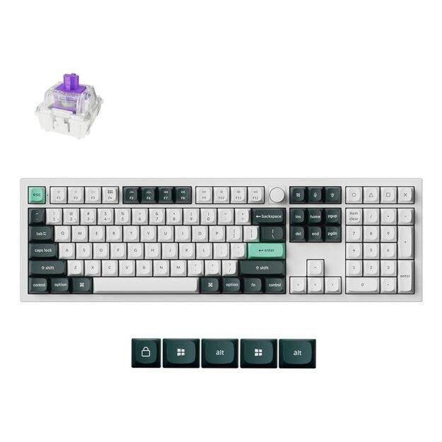 KEYBOARD WRL Q6 HE RGB/SHELL WHITE Q6H-P1 KEYCHRON