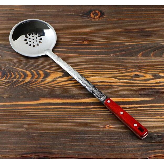 Perferuotas samtis (&scaron;umovka), 47cm.