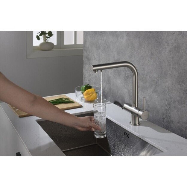 Virtuvinis mai&scaron;ytuvas su i&scaron;traukiama žarna ir jungtimi filtrui Blue Water APALA, 5901730616248 nerūd 1