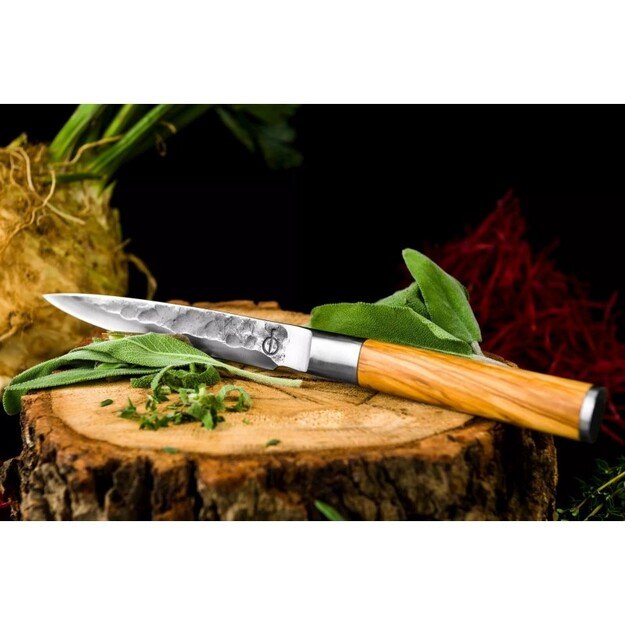 Universalus peilis Forged Olive 12,5 cm 2