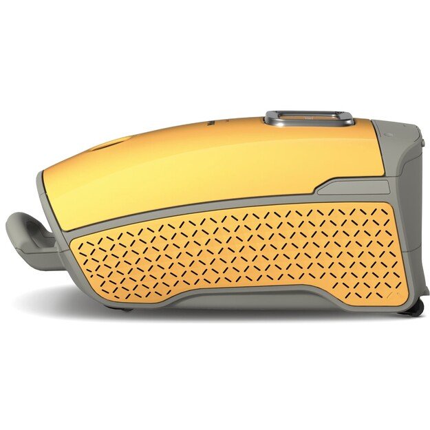 Dulkių siurblys Miele Guard L1 Flex, 12559720 1