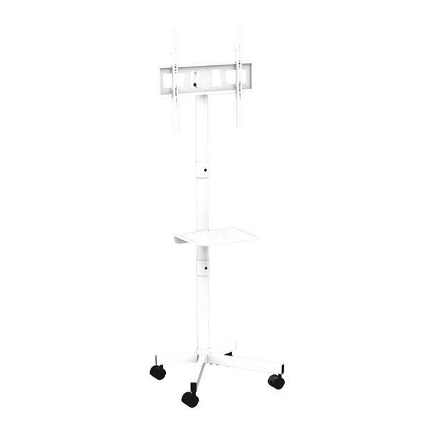 TV SET ACC FLOOR STAND 32-55 /CASTER WH TVS-55T-03-W GEMBIRD