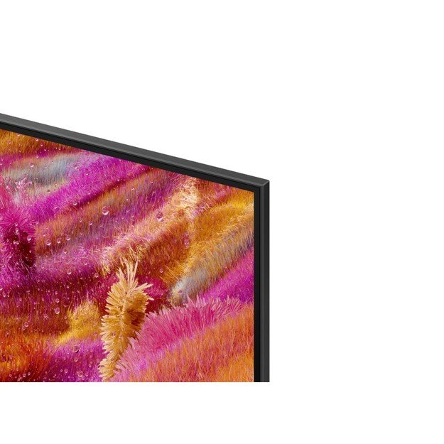 QLED Televizorius Samsung QE65QN90FATXXH 2