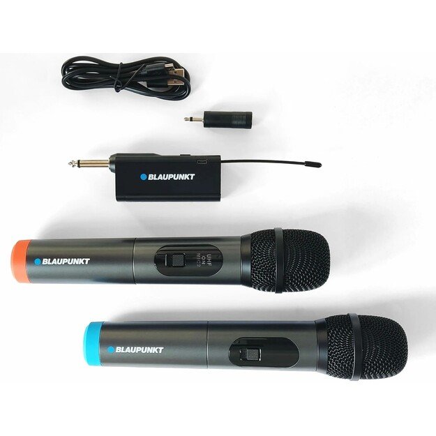 Mikrofonas Blaupunkt WM60UDB 2