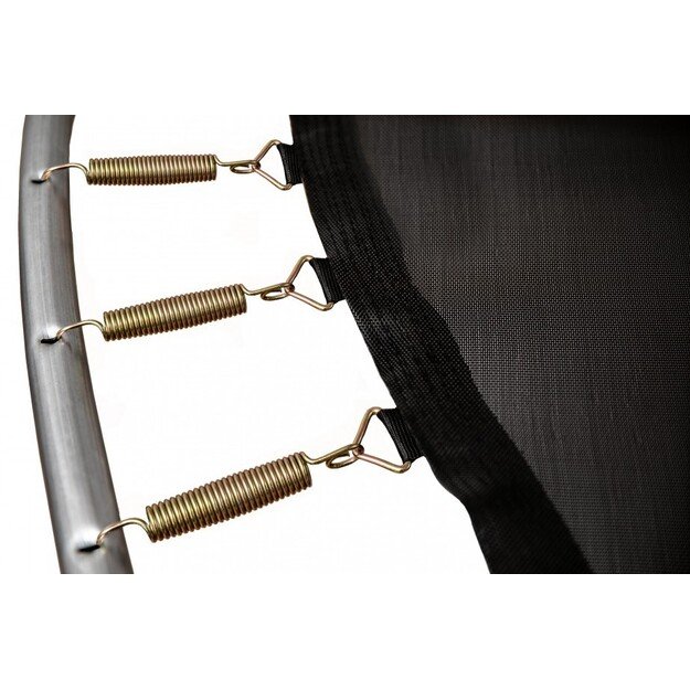 Batutas su vidiniu tinklu Zipro Jump Pro 10FT 312cm + krepšys batams 2