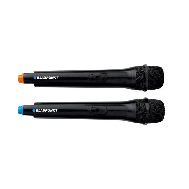 Kolonėlė BLAUPUNKT PB12DB 5