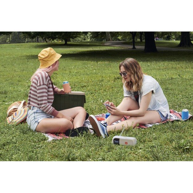 Radijo imtuvas JBL Tuner 2 BT juoda 10