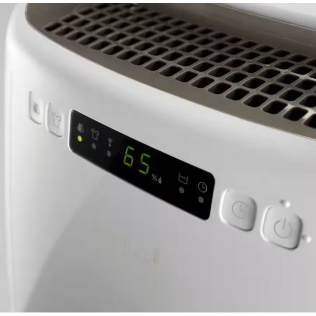 Oro sausintuvas DeLonghi DEXD214RF 1