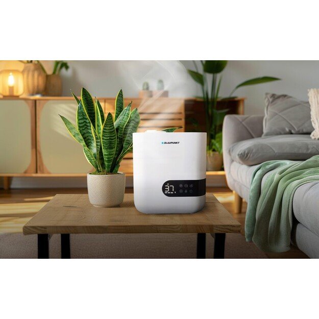 Drėkintuvas Blaupunkt AHS902 2