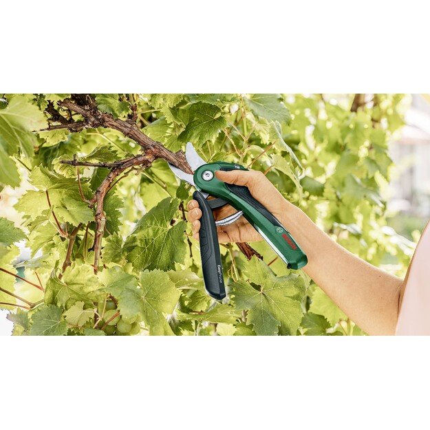 Akumuliatorinis sekatorius Bosch Easy Prune 06008B2102 2
