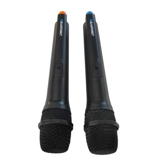 Kolonėlė Blaupunkt PB10DB 1
