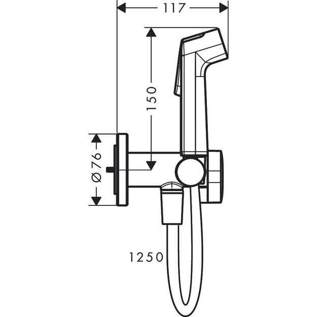 Bide dušelis Hansgrohe 29232670