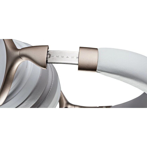 Ausinės AHGC30WTEM 6