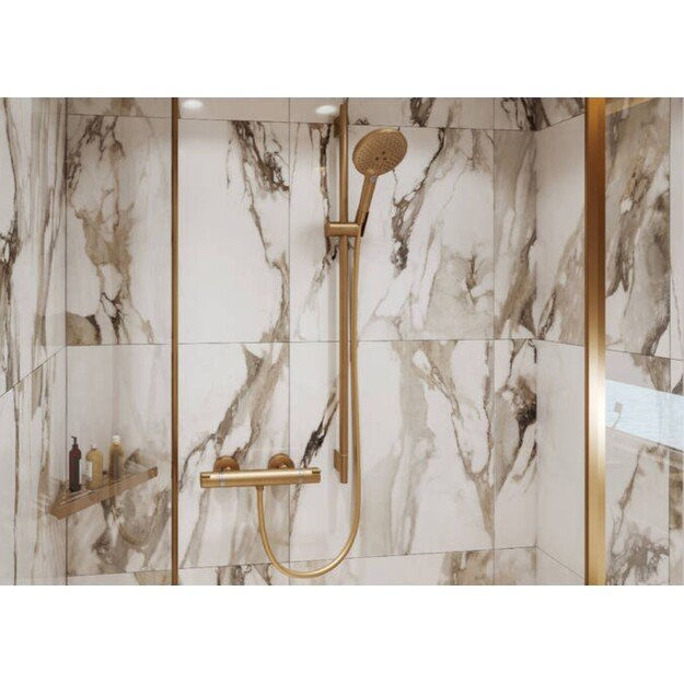 Rankinis dušas Hansgrohe Raindance Select S, 120 3jet, bronza, 26530140 2