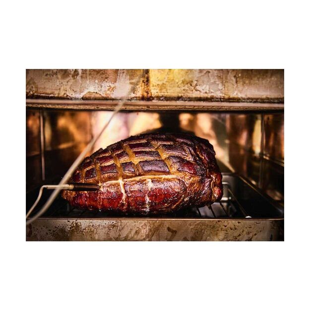 Rūkykla Borniak 150L nerūdijančio plieno +BBQ ir wifi BBDSW-150 2