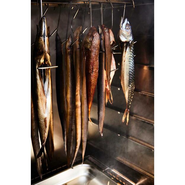 Rūkykla Borniak 150L nerūdijančio plieno +BBQ ir wifi BBDSW-150 1