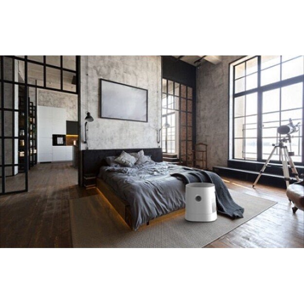 Oro drėkintuvas-valytuvas Boneco W220 2