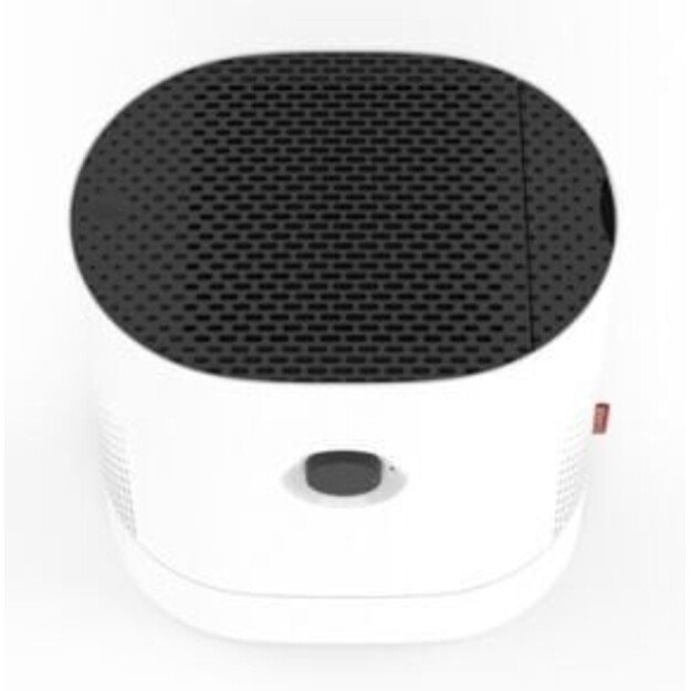 Oro drėkintuvas-valytuvas Boneco W220 3