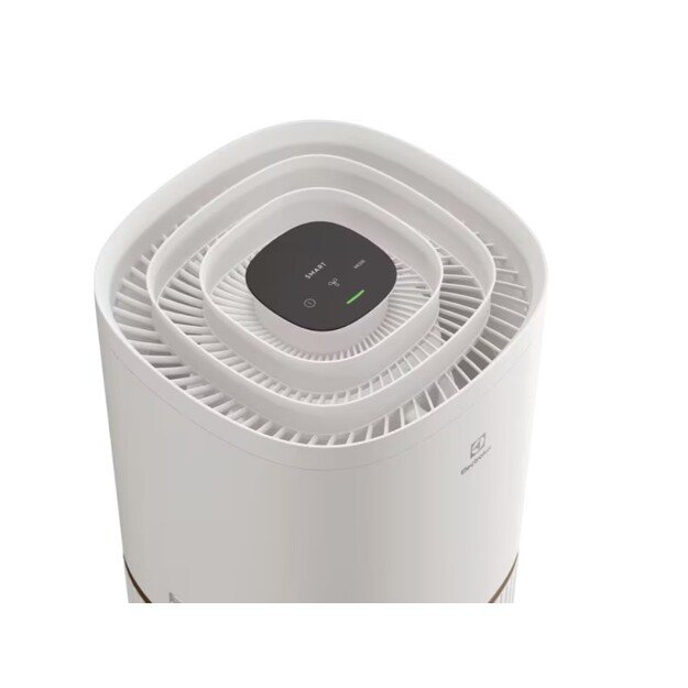 Oro valytuvas Electrolux EPO50571SW 1