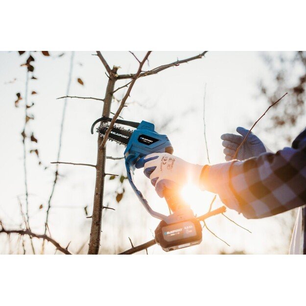 Grandininis pjūklas Blaupunkt CS2010 4