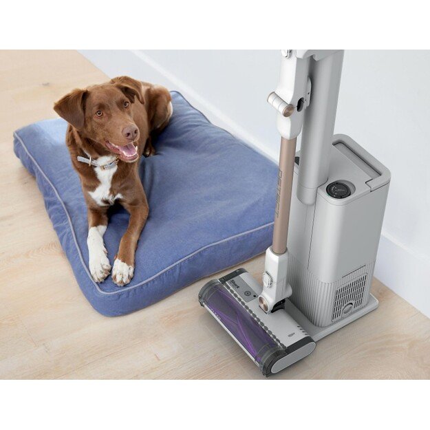 Shark Detect Clean & Empty, baltas - Belaidis dulkių siurblys IW3612EU 2