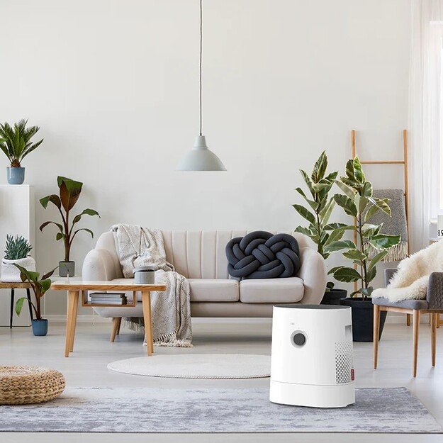 Oro valytuvas - drėkintuvas Boneco H320 1