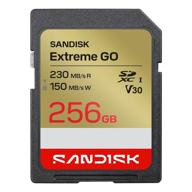 MEMORY SDXC 256GB UHS-I/SDSDXGN-256G-GNCIN SANDISK