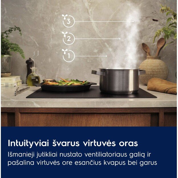 Įmontuojamas gartraukis Electrolux LFG916K 7