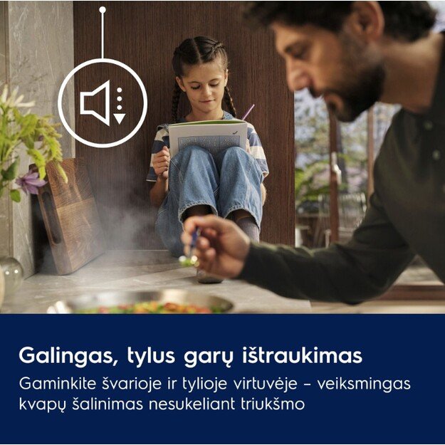 Įmontuojamas gartraukis Electrolux LFG916K 9