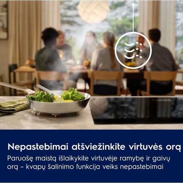 Įmontuojamas gartraukis Electrolux LFG916K 8