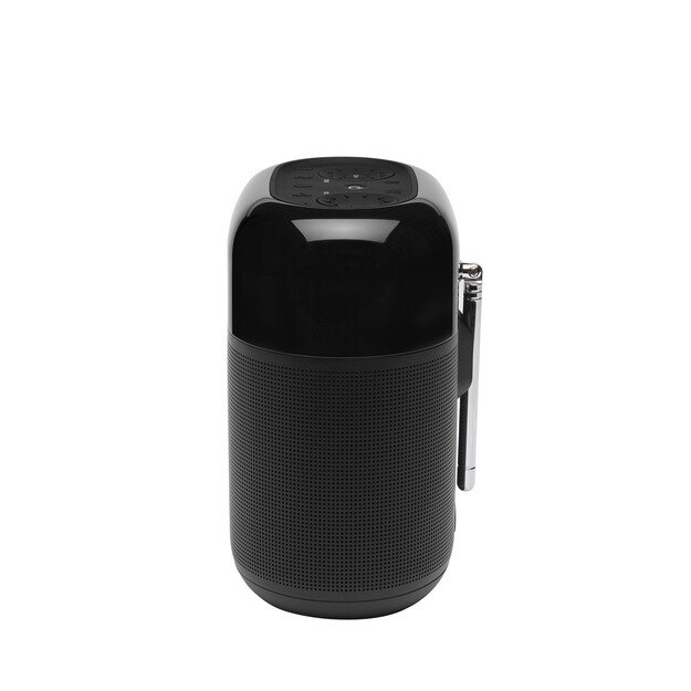 Belaidė kolonėlė/ radija JBL Tuner XL, Black 1