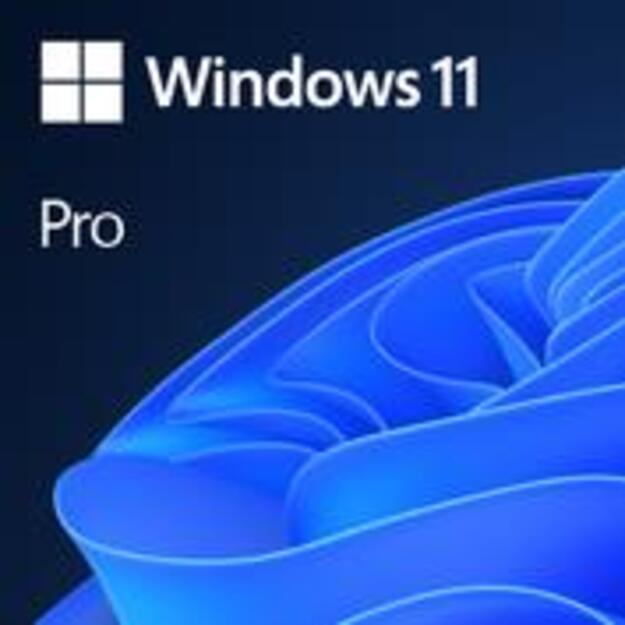 Software|MICROSOFT|Win 11 Pro GGK 64Bit Eng Intl 1pk DSP ORT OEI DVD|Win Pro|OEM|English|4YR-00316