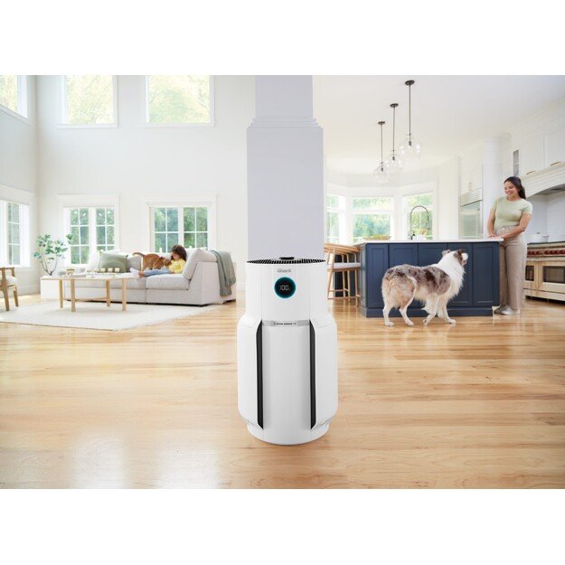 Oro valytuvas Shark NeverChange HP300EU 3