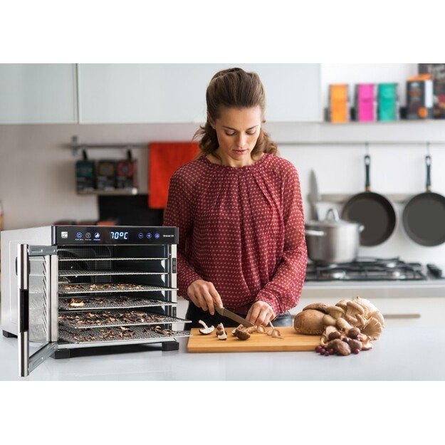 Vaisių džiovyklė G21 60081126 18