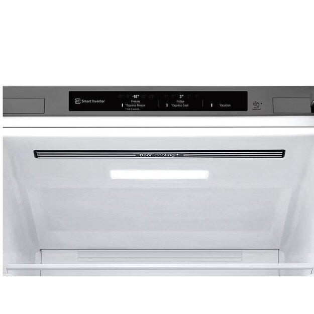Šaldytuvas LG DoorCooling+, GBV21L0EPY 3