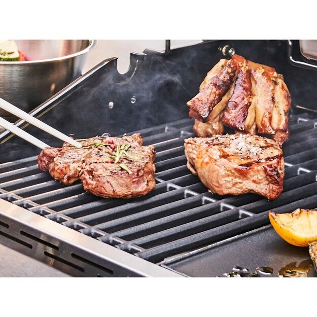 Dujinis grilis Char-Broil Professional Pro S 2 5