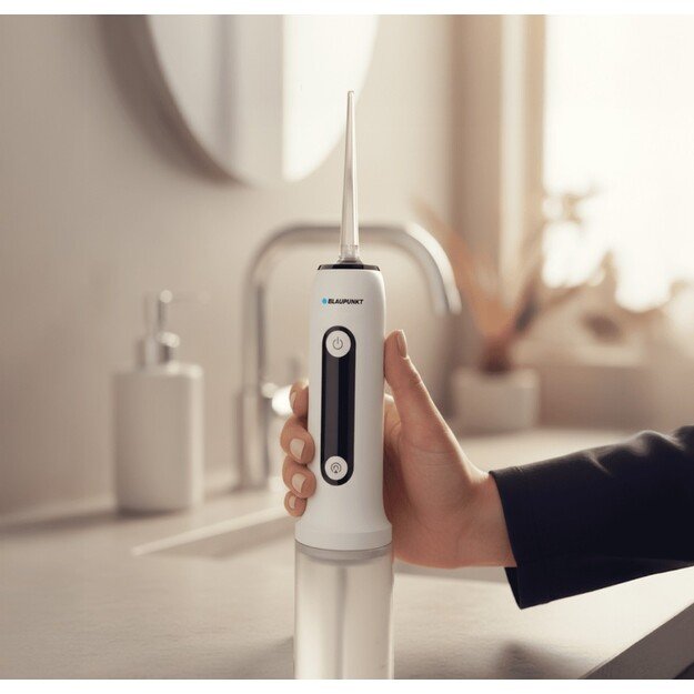 Irigatorius Blaupunkt DIR301 2